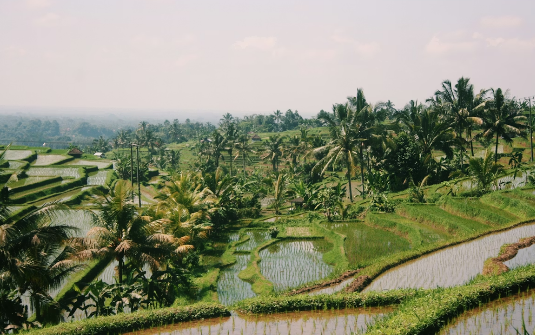 Info deal : Groupe Partir-Visiteurs Info deal : Groupe Partir-Visiteurs